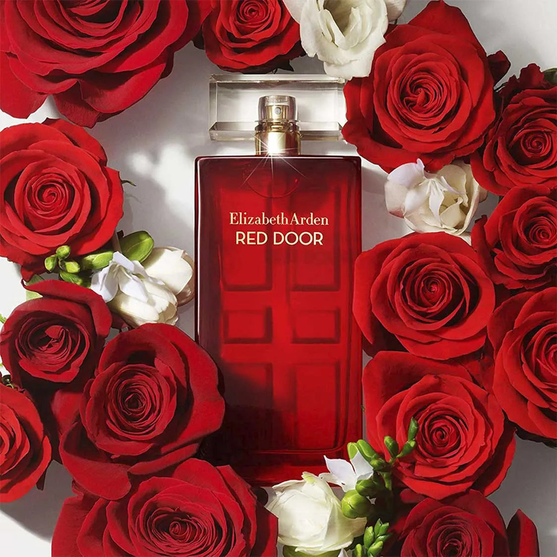 RED DOOR ELIZABETH ARDEN DAMA