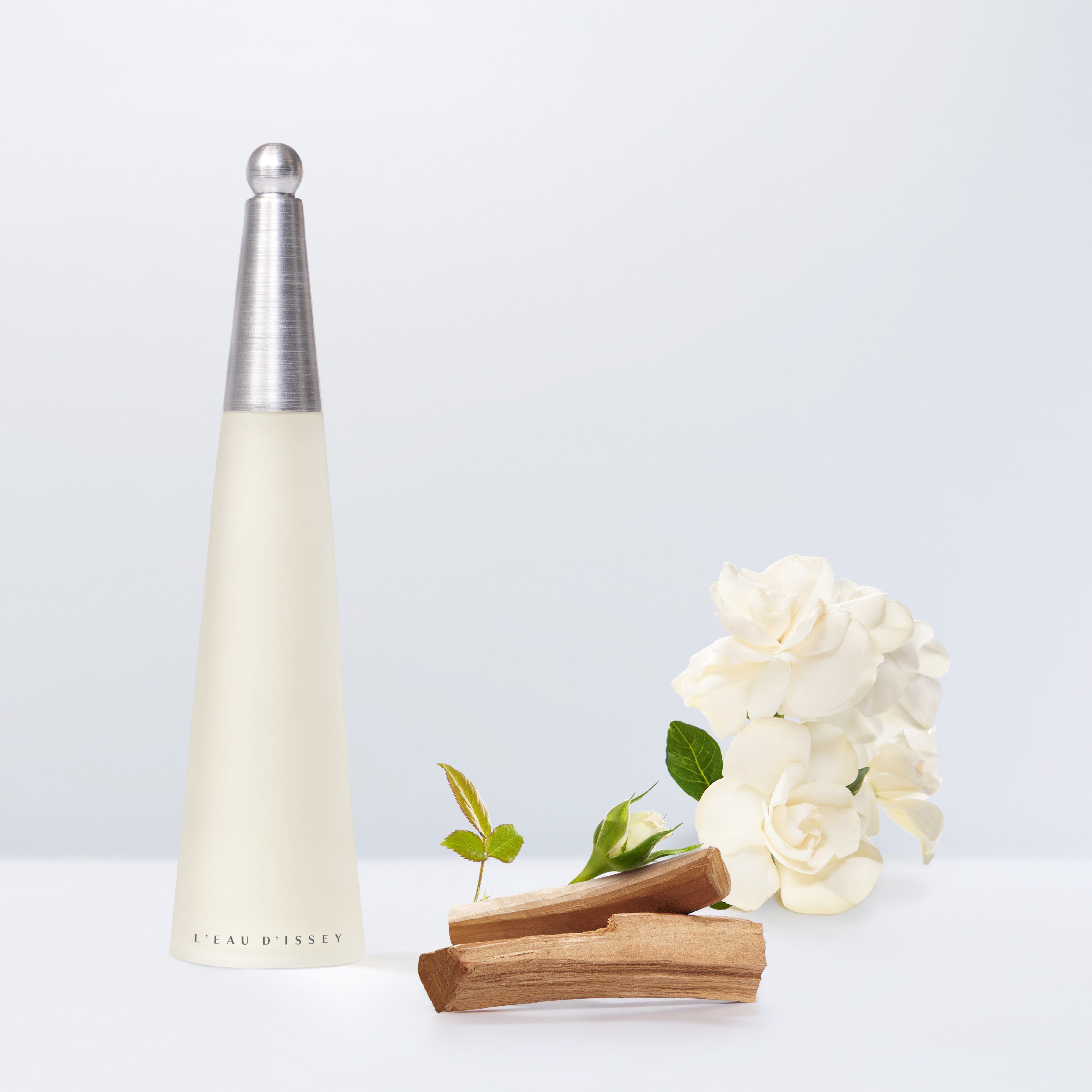 ISSEY MIYAKE DAMA
