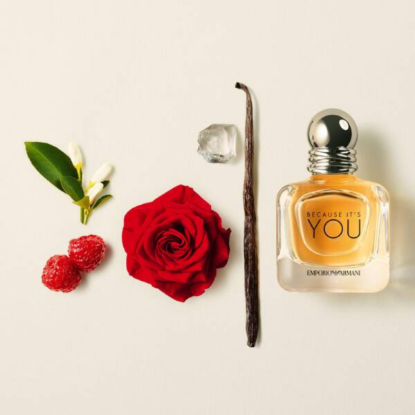 ARMANI BECAUSE IT'S YOU DAMA