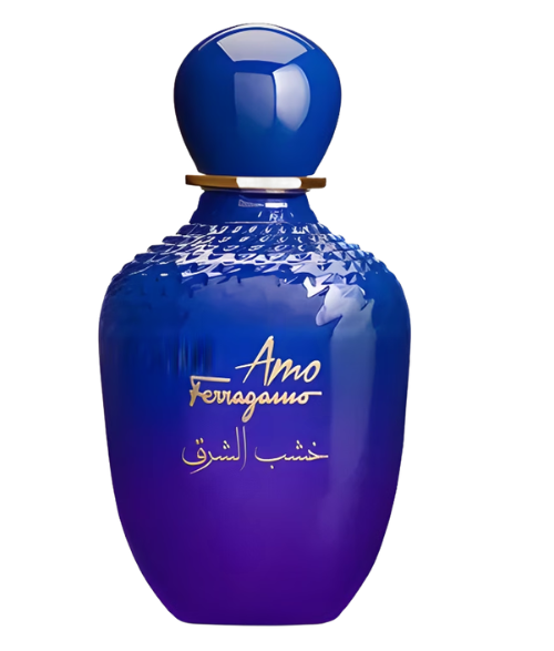 SALVATORRE FERRAGAMO AMO ORIENTAL