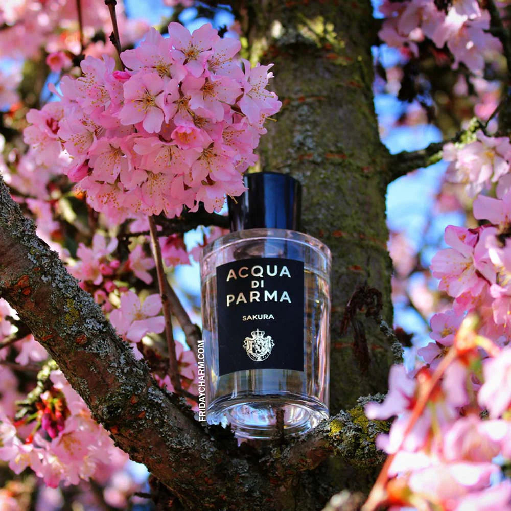 ACQUA DI PARMA SAKURA UNISEX