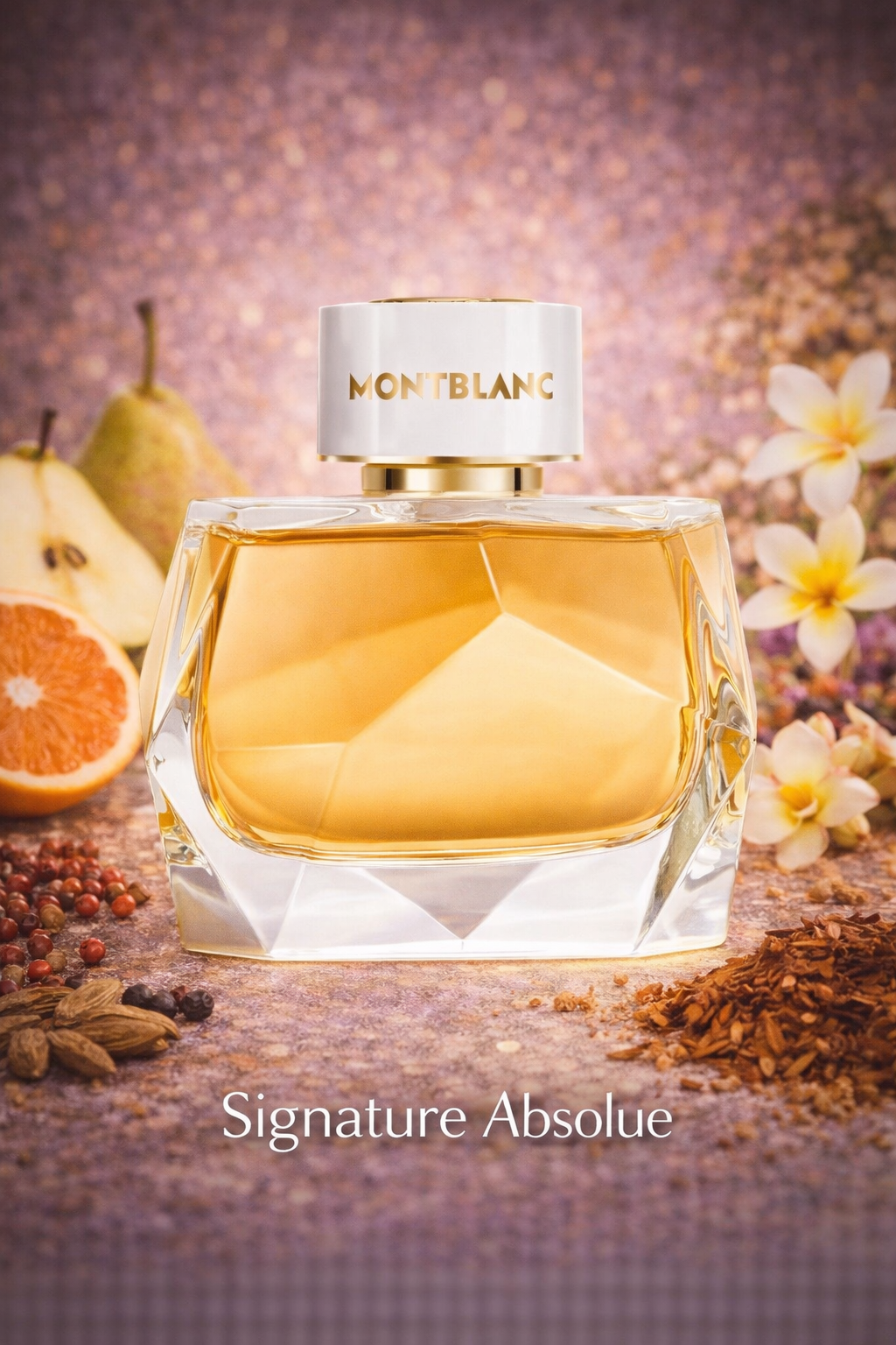 SET MONT BLANC SIGNATURE ABSOLUTE DAMA