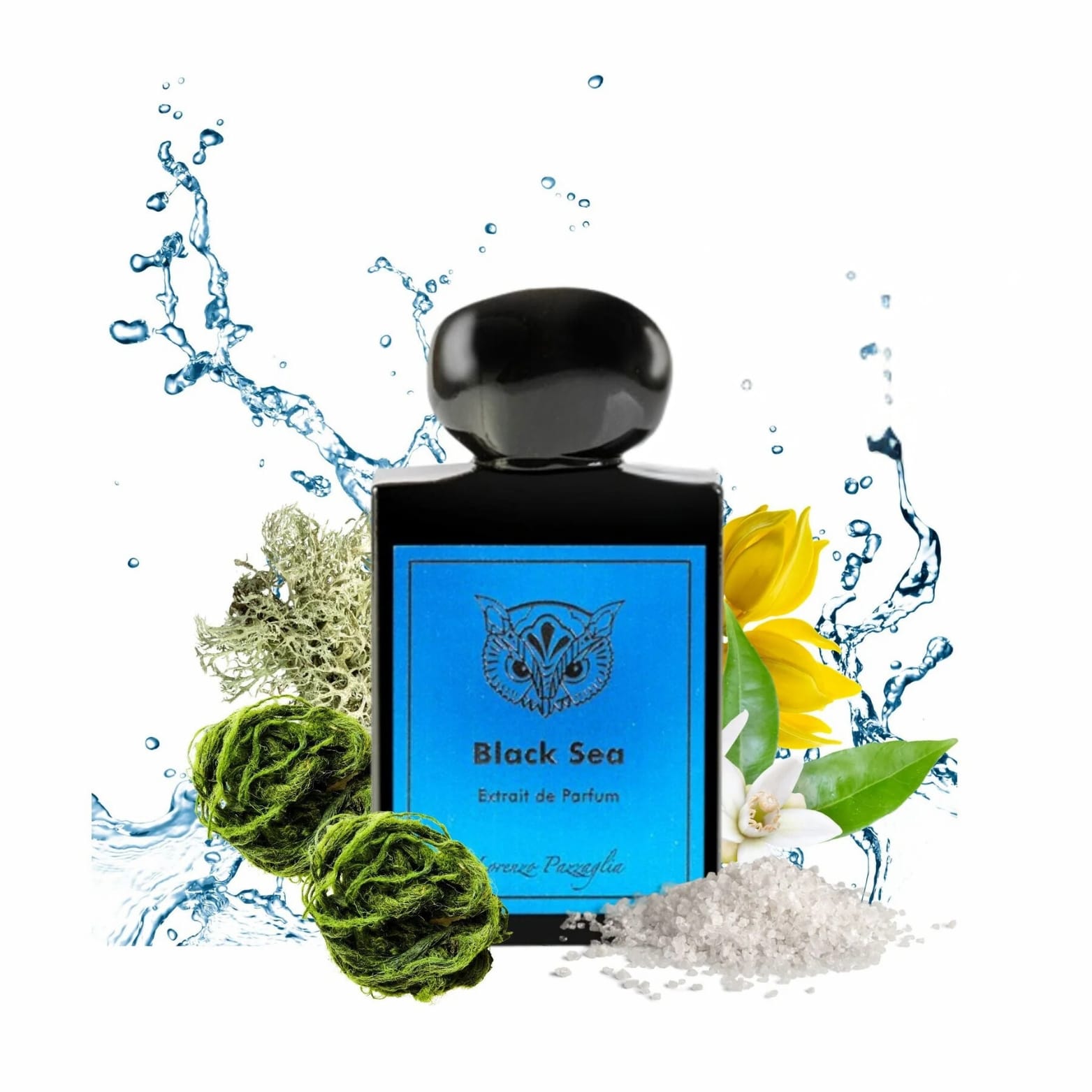 LORENZO PAZZAGLIA BLACK SEA UNISEX