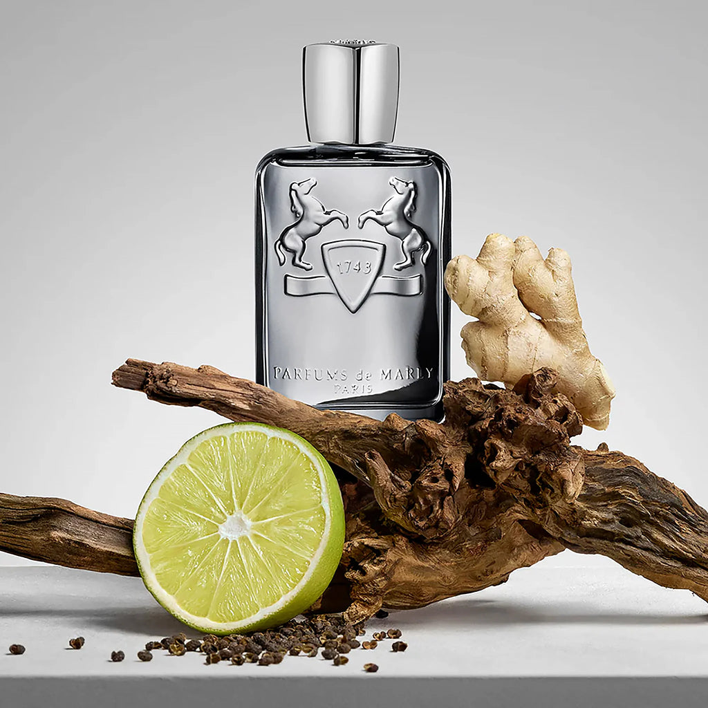 PARFUMS DE MARLY CASTLEY HOMBRE