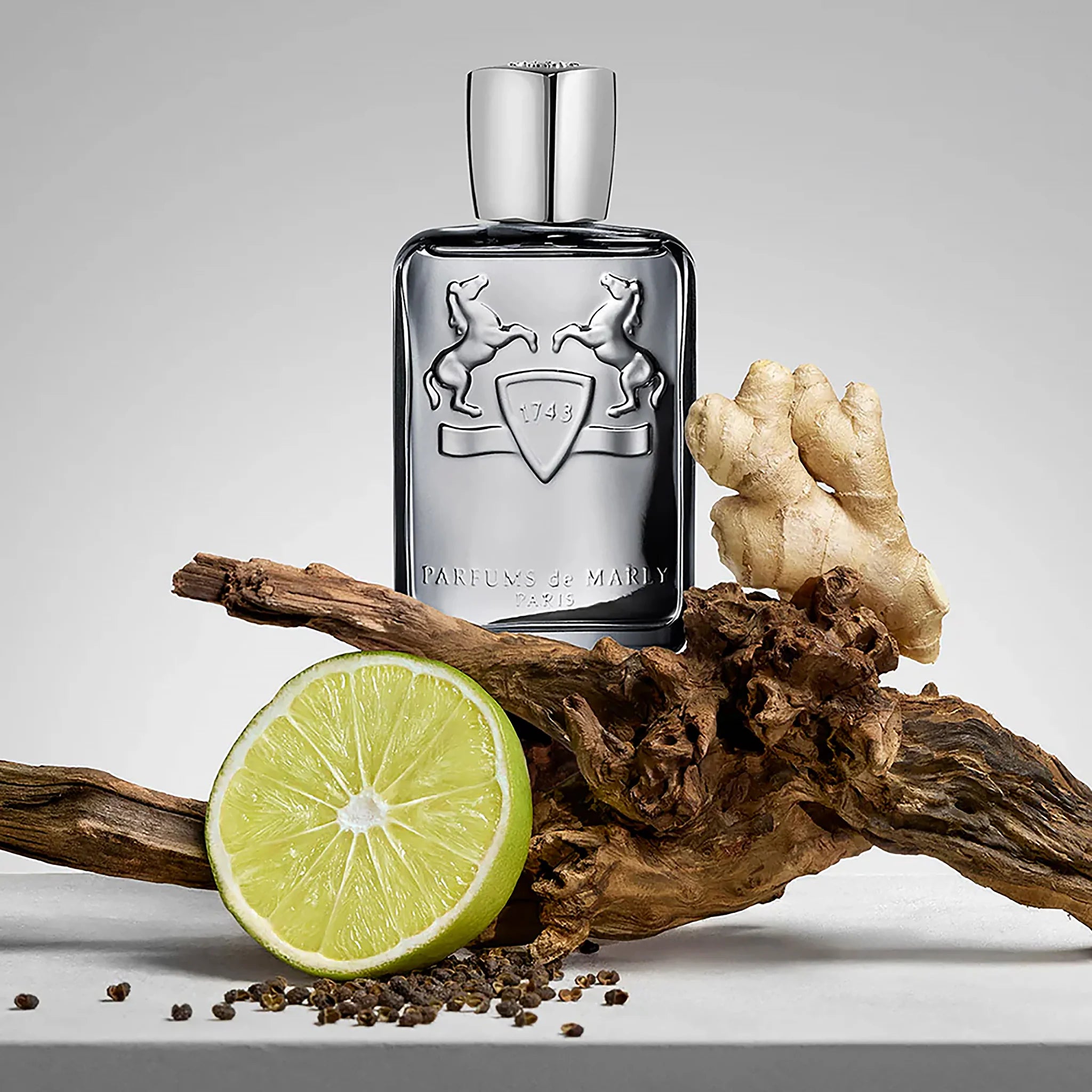PARFUMS DE MARLY CASTLEY HOMBRE