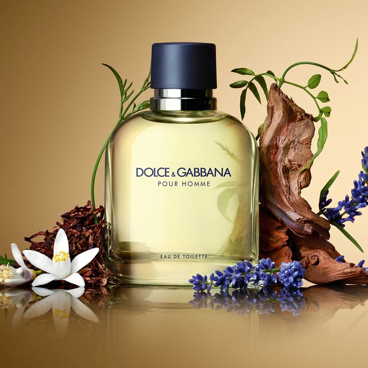 DOLCE GABBANA POUR HOMME  HOMBRE