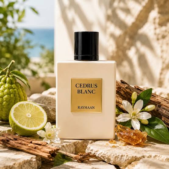 RAYHAAN CEDRUS BLANC
