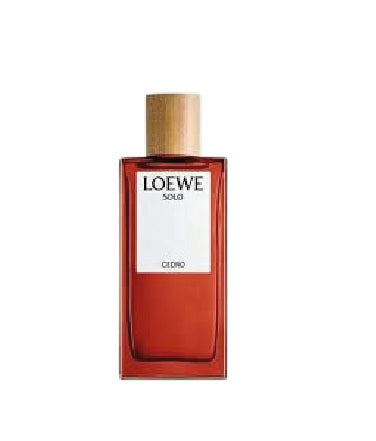 LOEWE SOLO CEDRO HOMBRE
