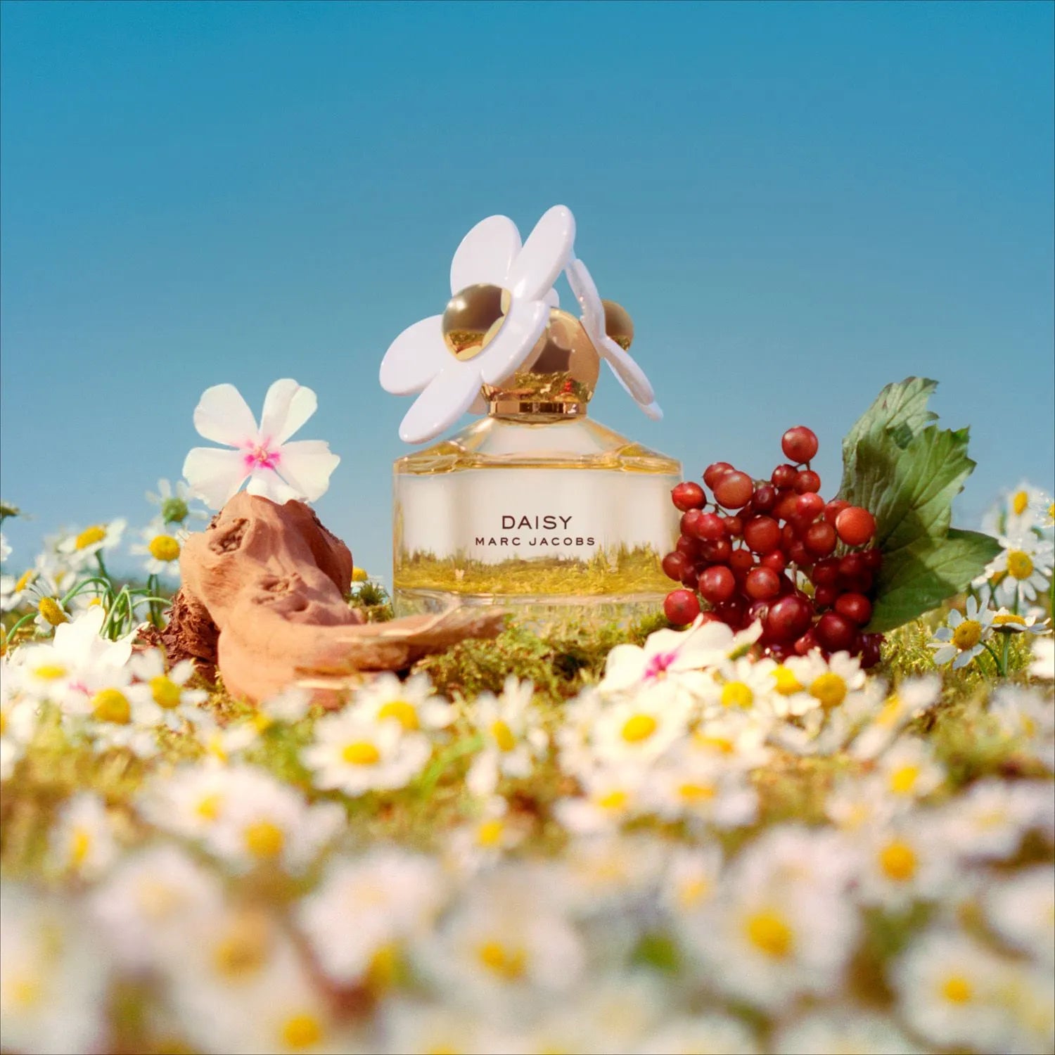 SET MARC JACOBE DAISY EDT