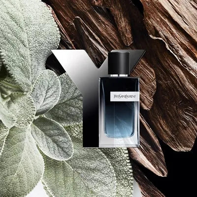 YVES SAINT LAURENT Y EDP HOMBRE