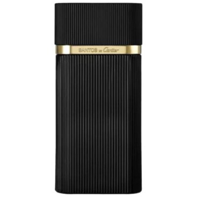 CARTIER SANTOS DE CARTIER CONCENTRÉE HOMBRE