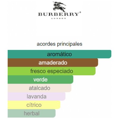 BURBERRY HOMBRE