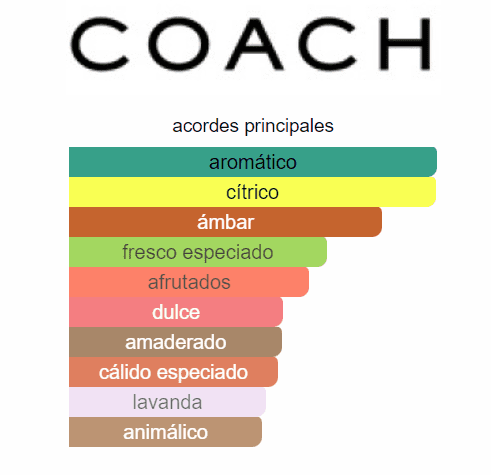 COACH HOMBRE