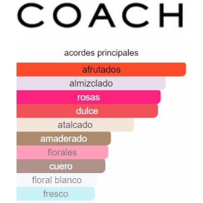 COACH DAMA