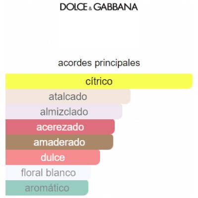 DOLCE GABBANA Q DAMA
