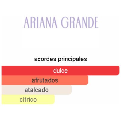 ARIANA GRANDE ARI DAMA