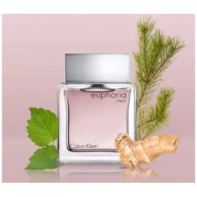 CALVIN KLEIN EUPHORIA HOMBRE