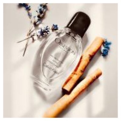 CALVIN KLEIN OBSESSION HOMBRE
