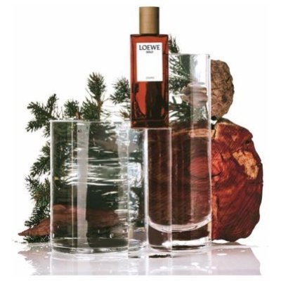 LOEWE SOLO CEDRO HOMBRE