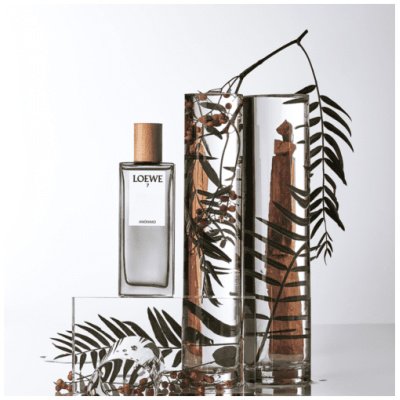LOEWE 7 ANONIMO HOMBRE