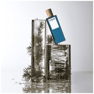 LOEWE 7 HOMBRE