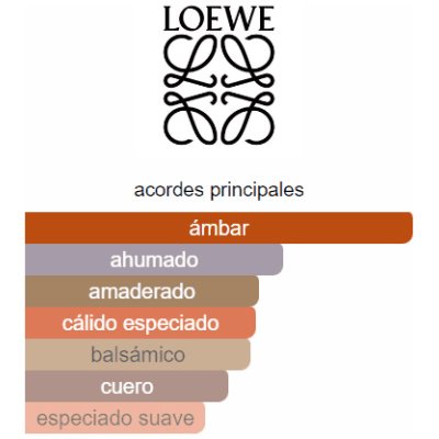 LOEWE 7 ANONIMO HOMBRE