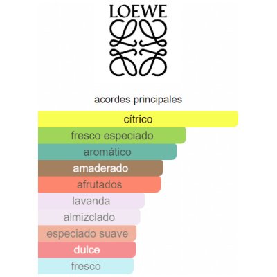 LOEWE SOLO HOMBRE