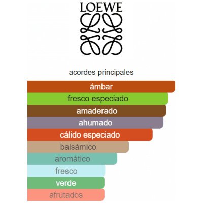 LOEWE 7 HOMBRE