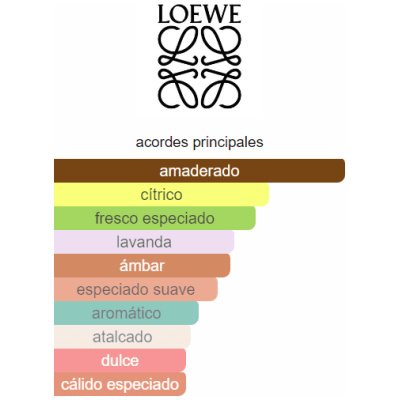 LOEWE SOLO CEDRO HOMBRE