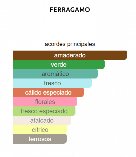 SALVATORE FERRAGAMO HOMBRE