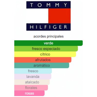 TOMMY HILFIGER HOMBRE
