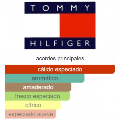 TOMMY HILFIGER SUMMER HOMBRE