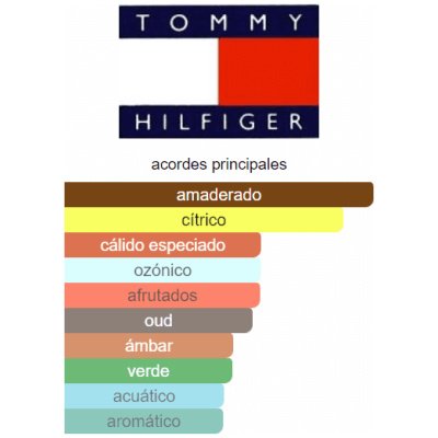 TOMMY HILFIGER IMPACT SPARK HOMBRE