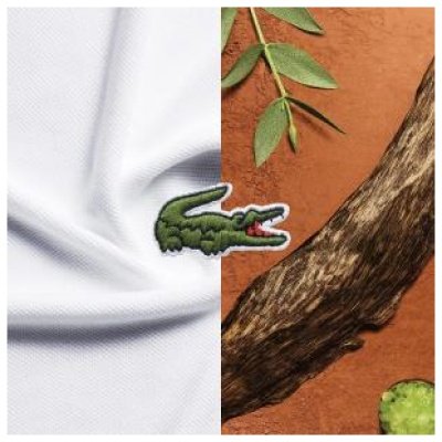 LACOSTE L.12.12 BLANC ROLAND GARROS HOMBRE