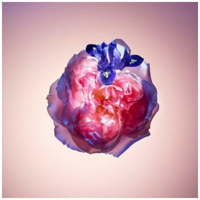 LOUIS VUITTON ROSE DES VENTS DAMA