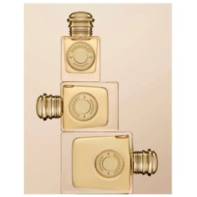 BURBERRY GODDESS DAMA