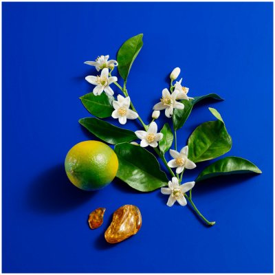 BENETTON SISTERLAND BLUE NEROLI DAMA