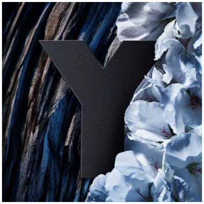 YVES SAINT LAURENT Y ELIXIR HOMBRE