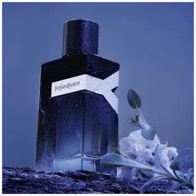 YVES SAINT LAURENT Y EDP HOMBRE
