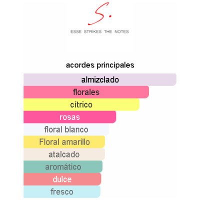 ESSE STRIKES THE NOTES VITTORIA DAMA