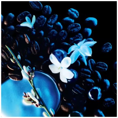 YVES SAINT LAURENT OPIUM BLACK INTENSE DAMA