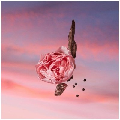 LOUIS VUITTON LES SABLES ROSES UNISEX