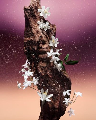 LOUIS VUITTON FLEUR DU DÉSERT UNISEX