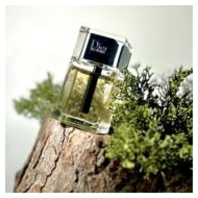 DIOR HOMME EDT