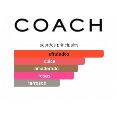 COACH LOVE DAMA