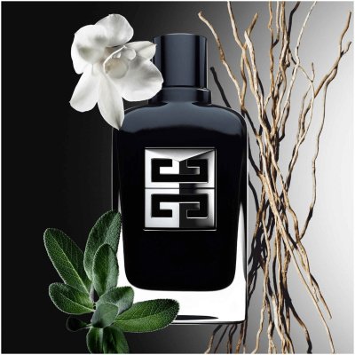 GIVENCHY GENTLEMAN SOCIETY HOMBRE