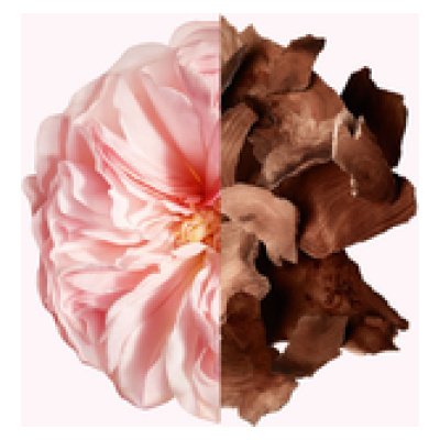 GIVENCHY IRRESISTIBLE DAMA